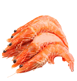 Cooked Shrimp