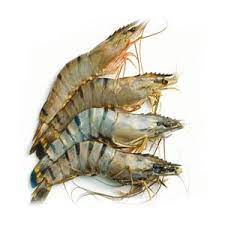Black Tiger Shrimp