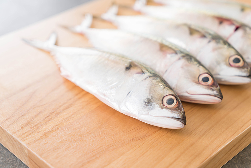 Horse Mackerel