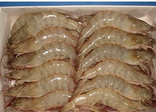 Vanami Shrimp